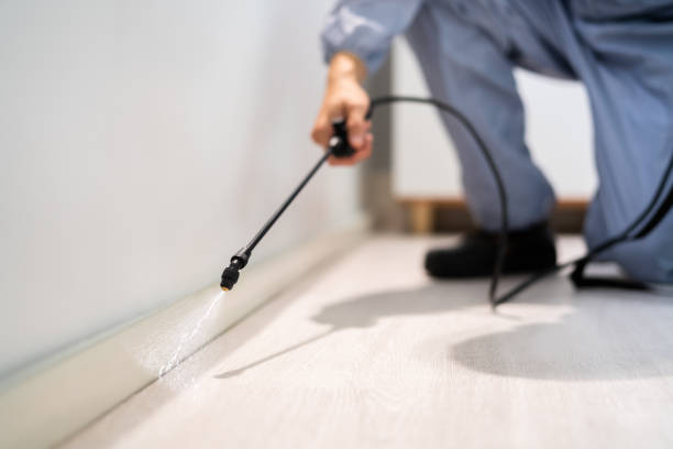 Professional exterminator conducting IPM assessment in Black Forest